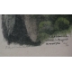 Gravure "Chouette de Tengmalm mâle" signée HAINARD