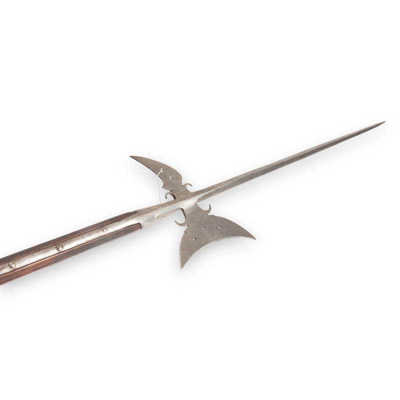 Italian halberd
