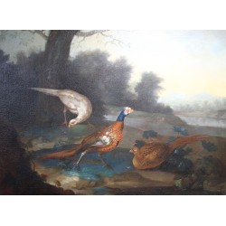 Paintings | English oil-on-canvas painting, ‘Pheasants’. Moinat SA  – Antiques and home décor