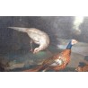 Paintings | English oil-on-canvas painting, ‘Pheasants’. Moinat SA  – Antiques and home décor