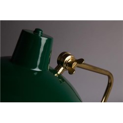 Lampe de bureau "Devi" coloris vert