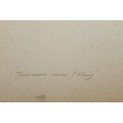 Gouache "Taureaux dans l'Etang" signée SARTHOU