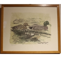 Gravure "Couple de colverts" signée HAINARD