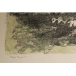 Gravure "Couple de colverts" signée HAINARD