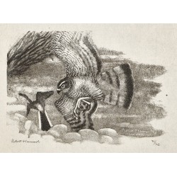 Gravure "Epervier et bergeronnette" signée HAINARD
