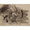 Gravure "Epervier et bergeronnette" signée HAINARD