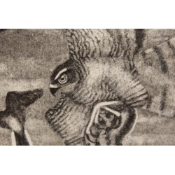 Gravure "Epervier et bergeronnette" signée HAINARD