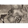 Gravure "Epervier et bergeronnette" signée HAINARD