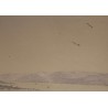 Engraving ‘View of Nion (Nyon)’ by HACKERT.  at Moinat SA  – Antiques and decorative items –  Engravings, lithographs