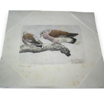 Engraving "Mating doves"