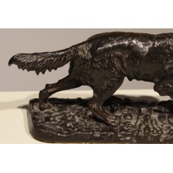 Chien de chasse en régule