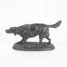 Chien de chasse à l'arret en régule