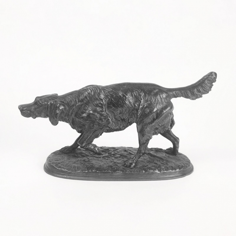Chien de chasse à l'arret en régule