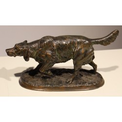 Chien de chasse à l'arret en régule