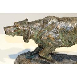 Chien de chasse à l'arret en régule