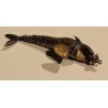Poisson articulé en argent