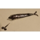Poisson articulé en argent, yeux émaillés
