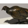 Bronze pheasant signed A. JACQUEMART