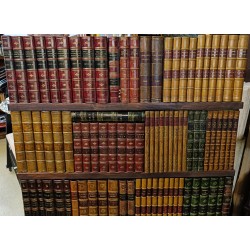 Panel of moulded faux books