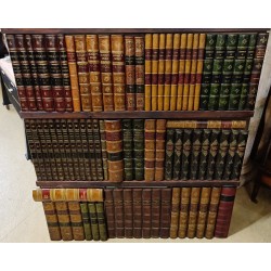 Panel of moulded faux books