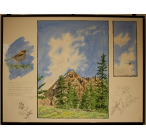 Aquarelle triple "Parc des Ecrins" signée C. STERN