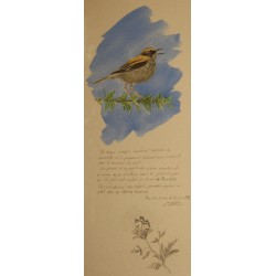 Aquarelle triple "Parc des Ecrins" signée C. STERN