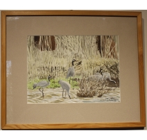 Aquarelle "Lac du Der" signée C. STERN
