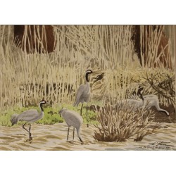 Aquarelle "Lac du Der" signée C. STERN