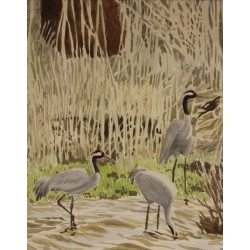 Aquarelle "Lac du Der" signée C. STERN