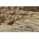 Aquarelle "Lac du Der" signée C. STERN