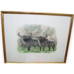 Radierung „Büffelpaar“, signiert von Robert HAINARD auf Moinat SA – Antiquitäten und Dekoration – Radierungen, Lithografien
