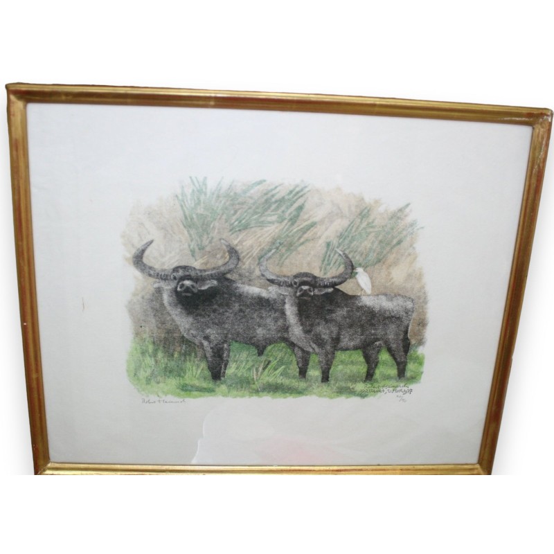 Radierung „Büffelpaar“, signiert von Robert HAINARD auf Moinat SA – Antiquitäten und Dekoration – Radierungen, Lithografien