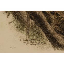 Gravure "Nid de Rouge-Gorge" signée RIME