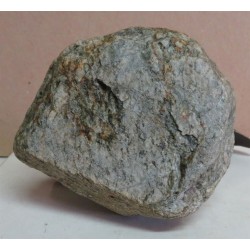 Truite courbe en bronze signée REUSSNER