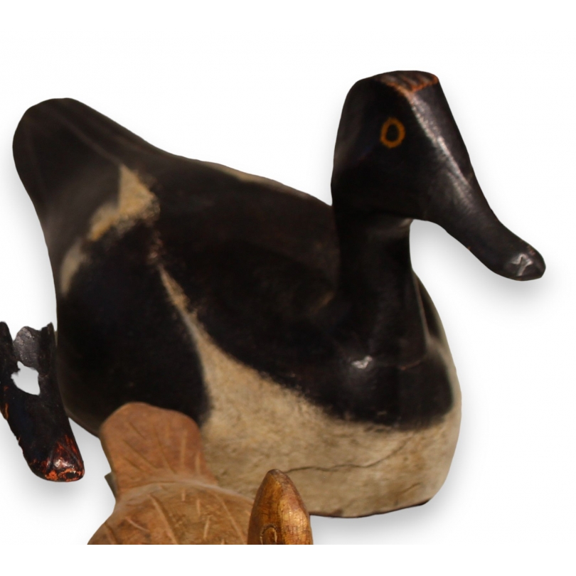 Leurre canard noir