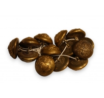 Lot de 11 boutons blazon au lion