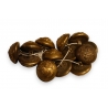 Lot de 11 boutons blazon au lion