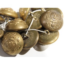 Set of 11 buttons featuring a lion coat of arms