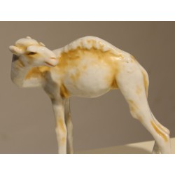 Dromadaire en porcelaine Peffer