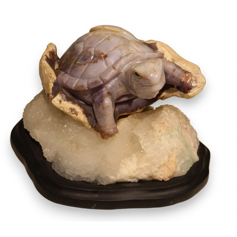 Sculpture en pierre dûre "Tortue"