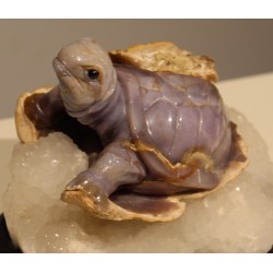 Sculpture en pierre dûre "Tortue"