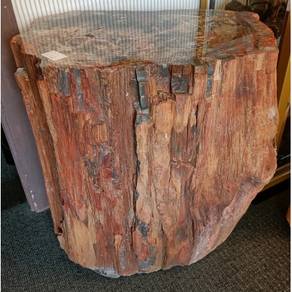 Tronc d'arbre fossilisé d'Arizona
