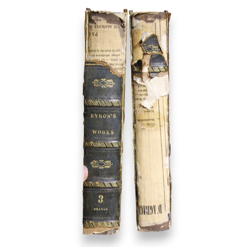 Livre "Byron's work" Tome 3 & 4