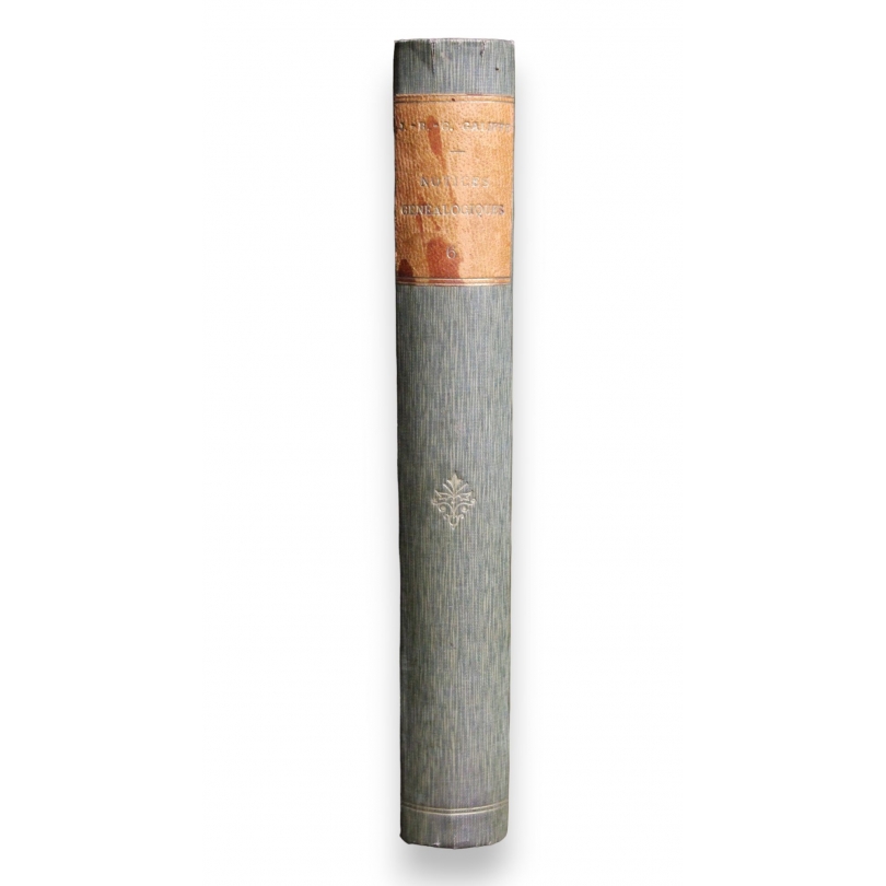 Livre "Notices généalogiques" Tome 6