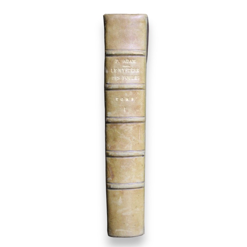 Livre \"Le mystère des foules\" Tome 1