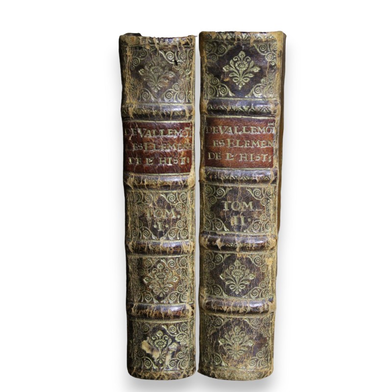 Livre \"Les éléments de l\'histoire\" Tome 1 & 2