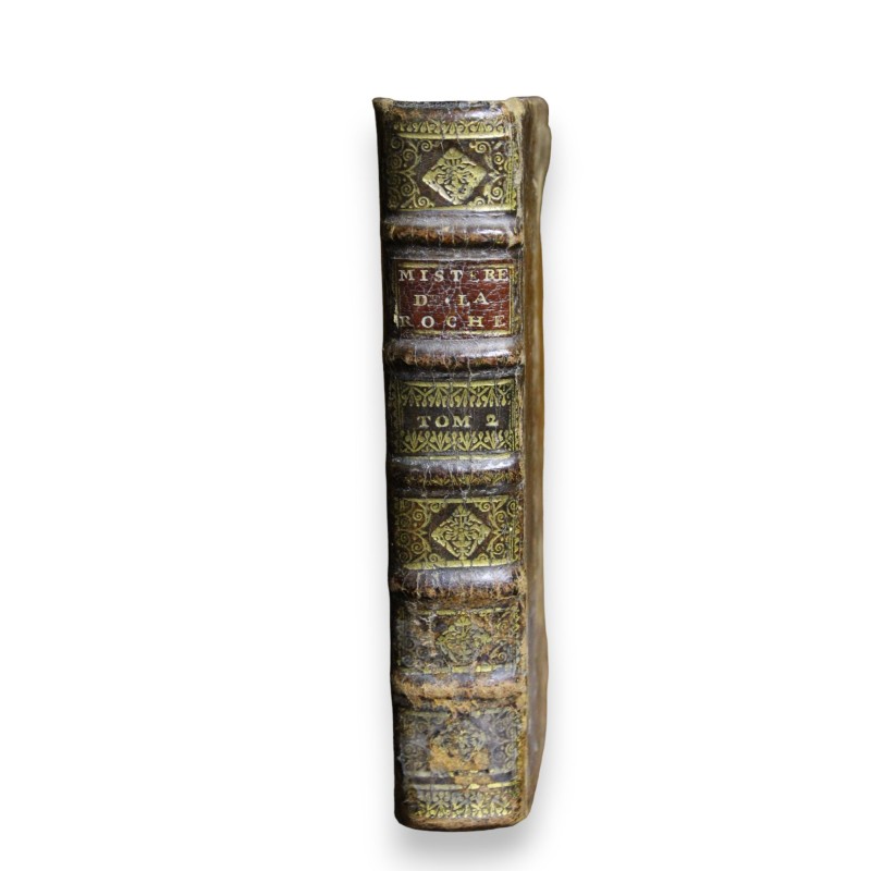 Livre \"Mystères de La Roche\" Tome 2