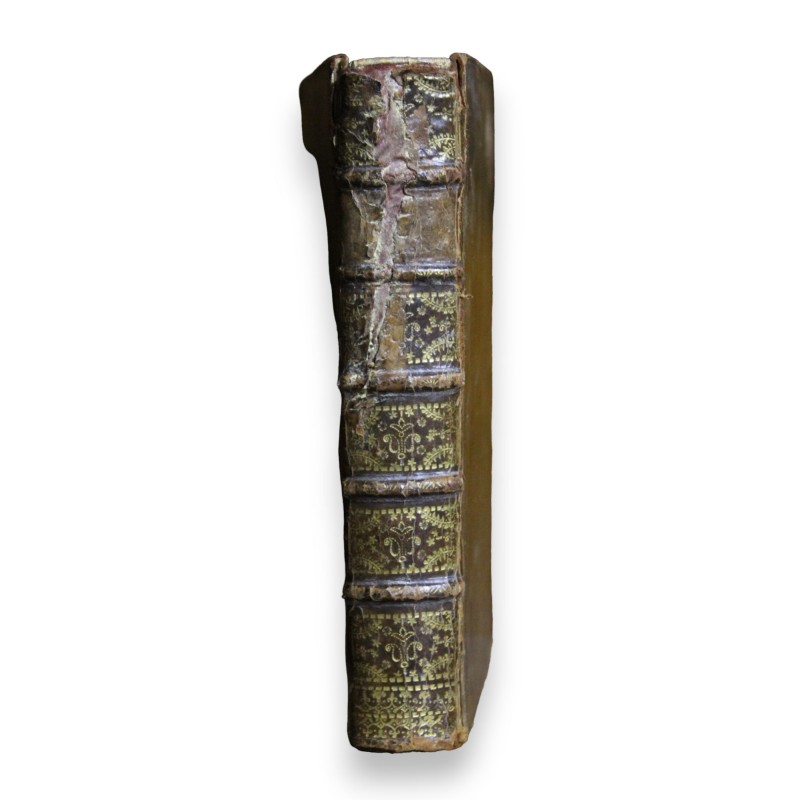Livre \"Vicomte de Turenne\"