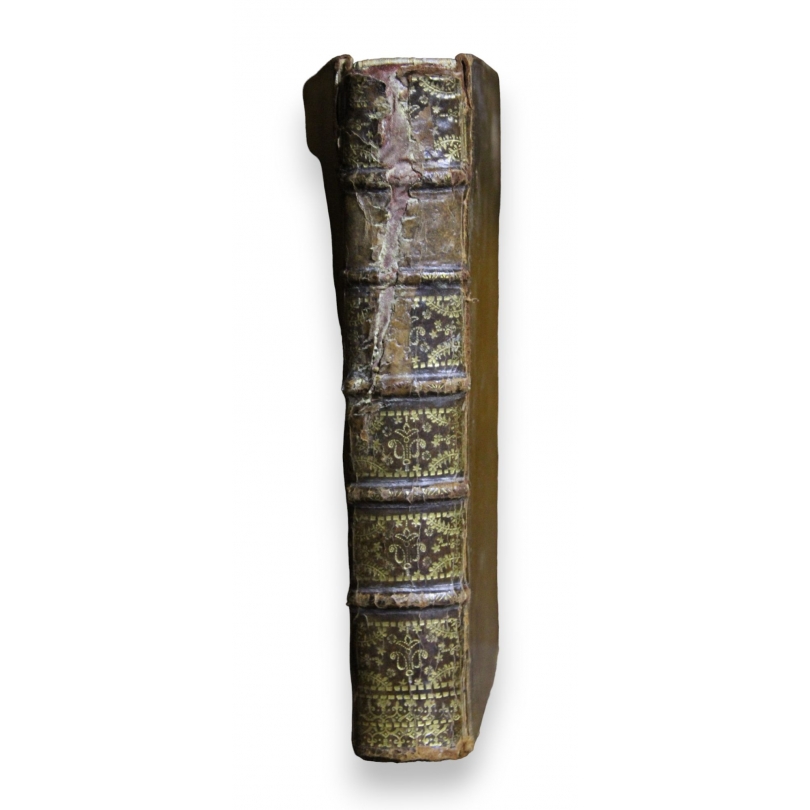 Livre "Vicomte de Turenne"