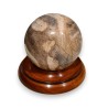 Petrified wood ball paperweight